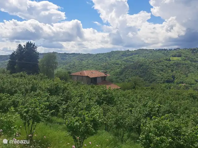 vakantiehuis huren in Italië, Piëmont, Niella Belbo – Vakantiehuis Casa Bella Nuova Omgeving huis