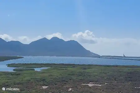 Las Salinas