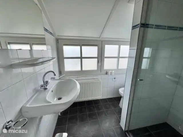 Villa Puur Giethoorn huren in Nederland, Overijssel, Wanneperveen - vakantiehuis De gemeenschappelijke badkamer is ruim. Op zeer korte termijn wordt er een dubbele wastafel gemonteerd met opbergkastjes.