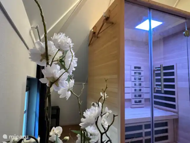 Villa Puur Giethoorn huren in Nederland, Overijssel, Wanneperveen - vakantiehuis Op de eerste verdieping is in de kleinere slaapkamer waar nog een volwaardig 1 persoons bed is, een sauna aanwezig waar u onbeperkt gebruik van kunt maken.