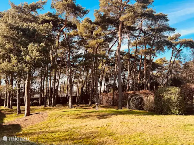 villa en Bélgica, Limburgo, Lommel – Villa de vacaciones 't Boshuys  JARDÍN