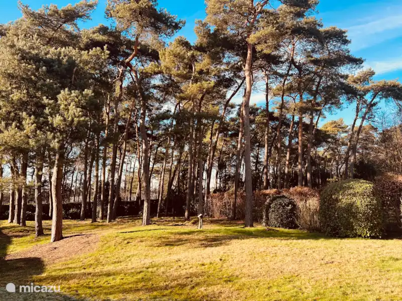 Villa de vacaciones 't Boshuys  en Bélgica, Limburgo, Lommel - Villa Villa de vacaciones 't Boshuys  en Bélgica, Limburgo, Lommel - Villa