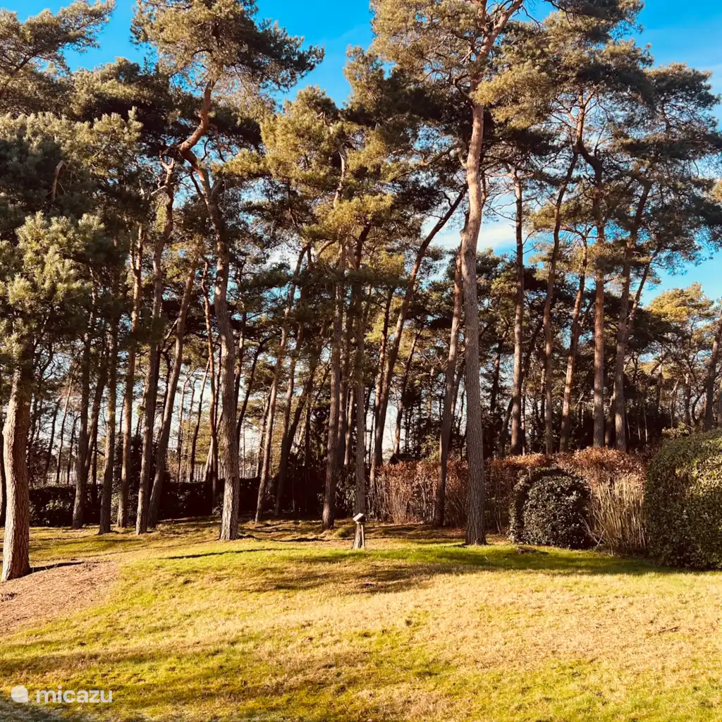 Vakantievilla ’t Boshuys