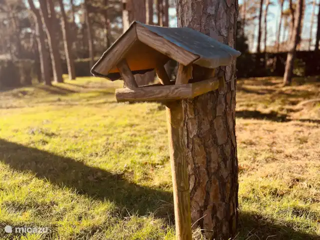 villa en Bélgica, Limburgo, Lommel – Villa de vacaciones 't Boshuys  JARDÍN