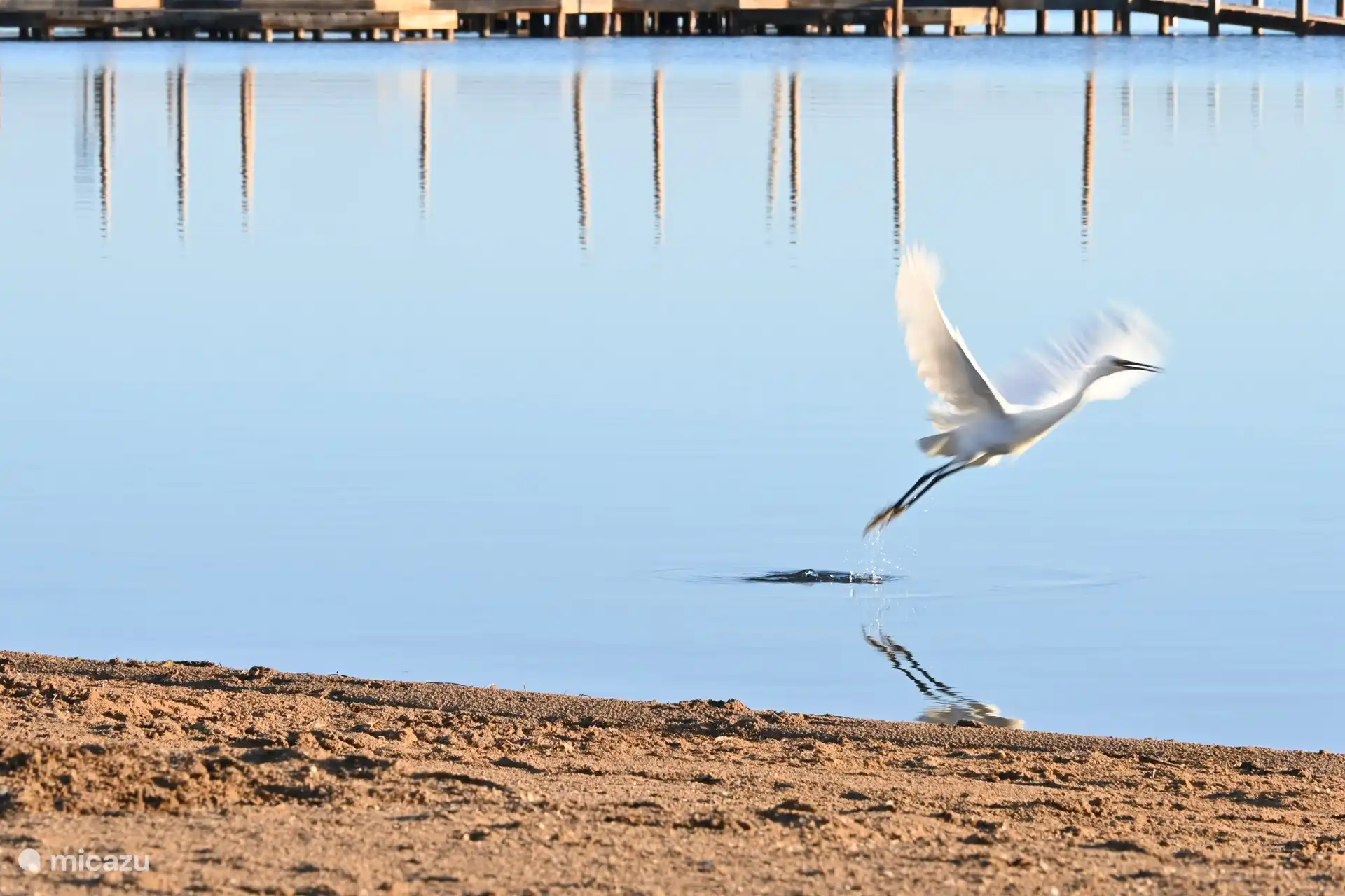 Natur vor dem Haus am Strand