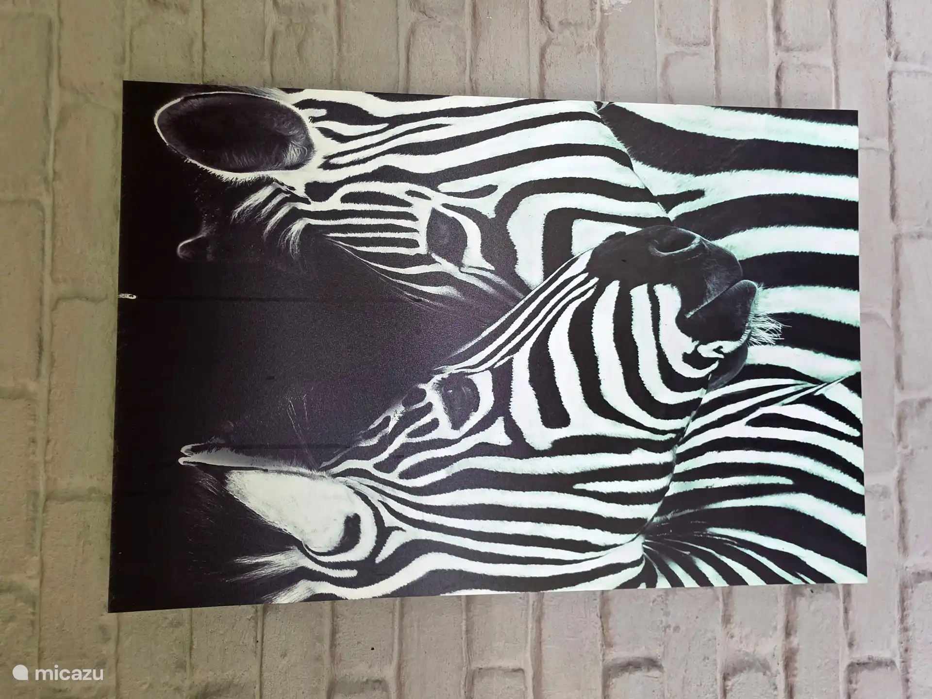 Beautiful canvas of Zebra.