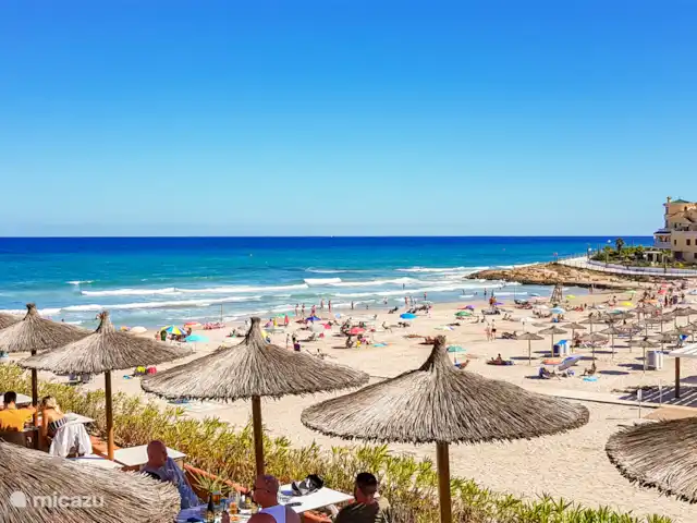 CASA JUNA | Espagne, Costa Blanca, Villamartin - appartement Plage de La Zenia