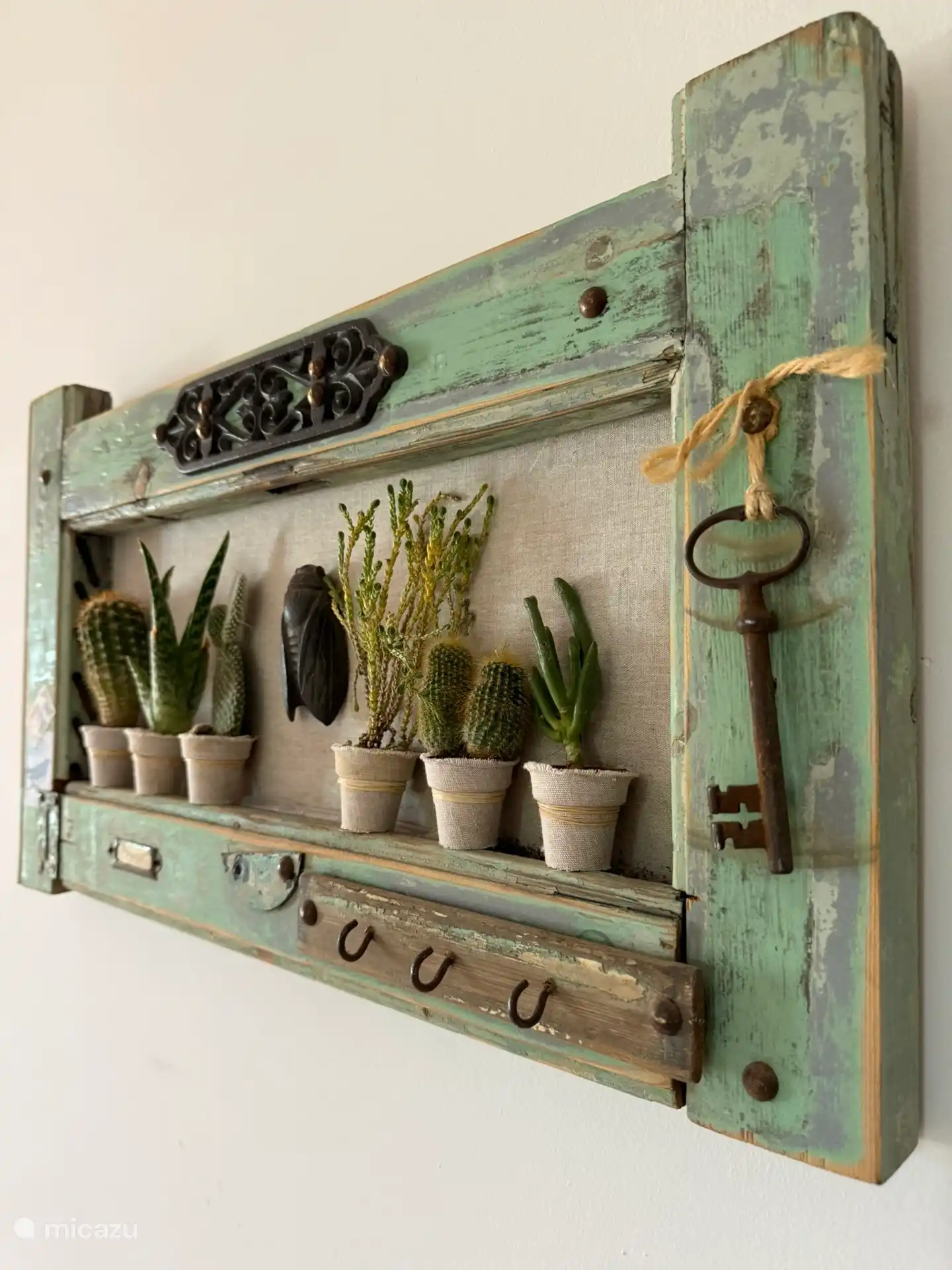 Artwork with real cactus plants