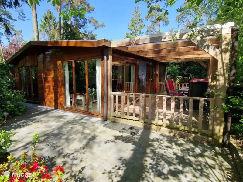 Veluwe Boschalet Egelnest huren in Nederland, Gelderland, Doornspijk - Chalet Veluwe Boschalet Egelnest huren in Nederland, Gelderland, Doornspijk - Chalet