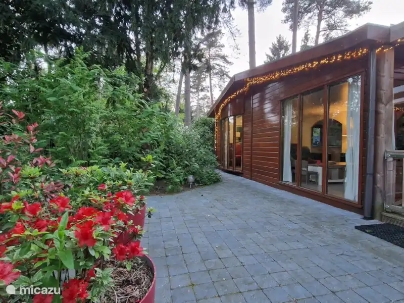 Veluwe Boschalet Egelnest huren in Nederland, Gelderland, Doornspijk - Chalet Veluwe Boschalet Egelnest huren in Nederland, Gelderland, Doornspijk - Chalet