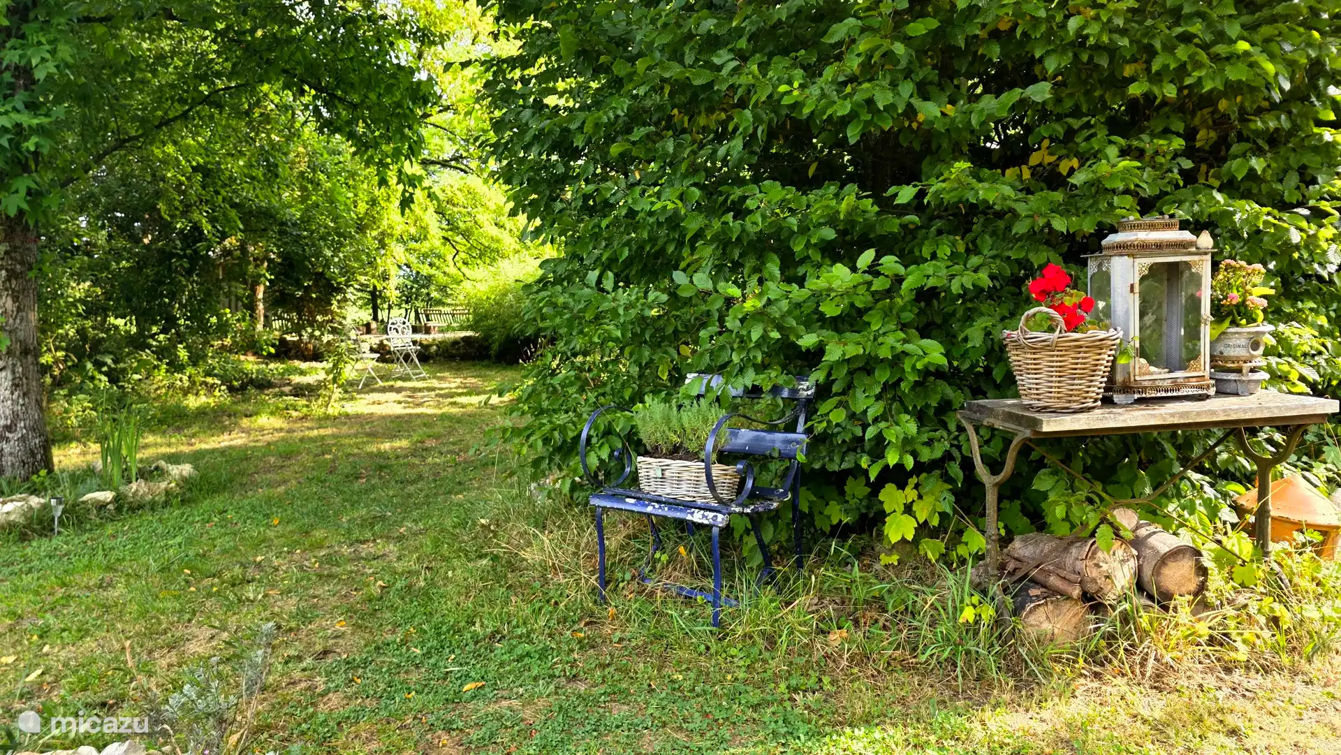 Een oase van zomers groen