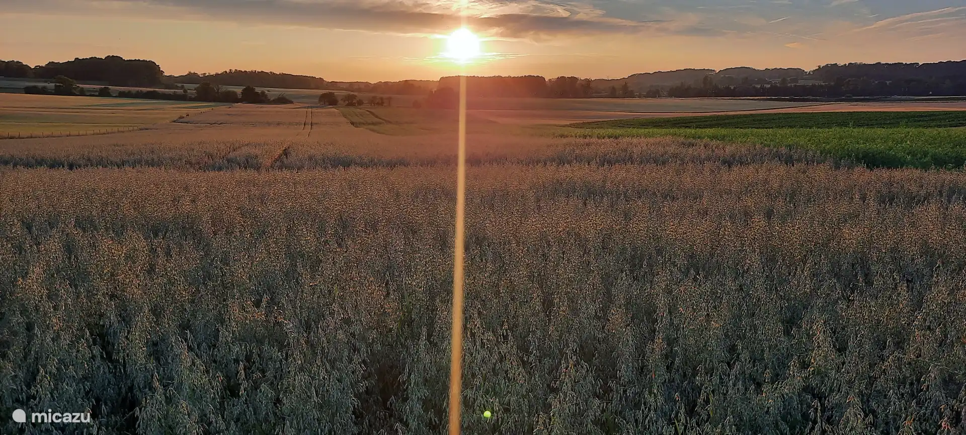 Prachtige zonsondergangen bij n mooie avondwandeling over dit boerenpad