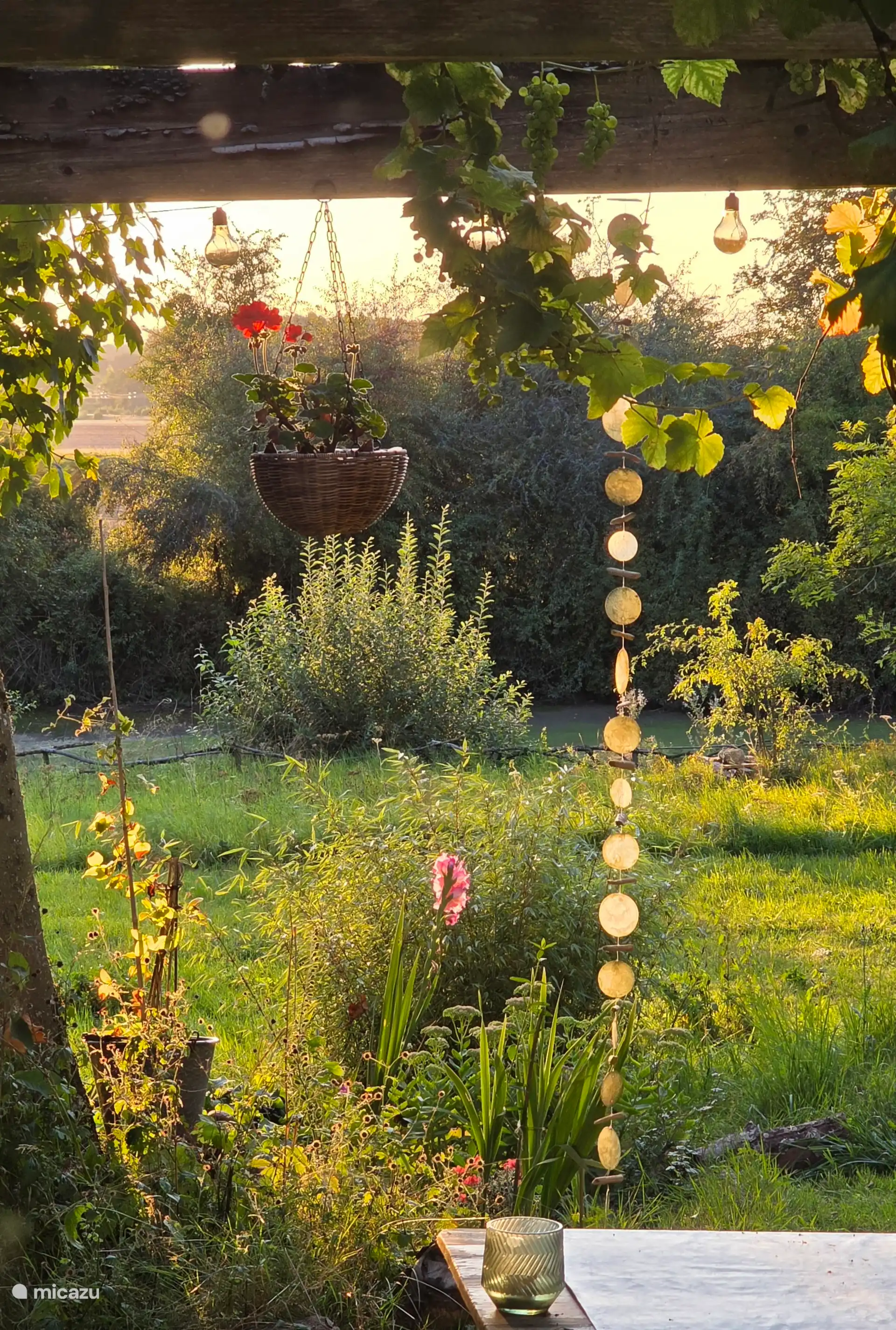 sfeervolle momenten in het zonlicht.
Zicht op het meer