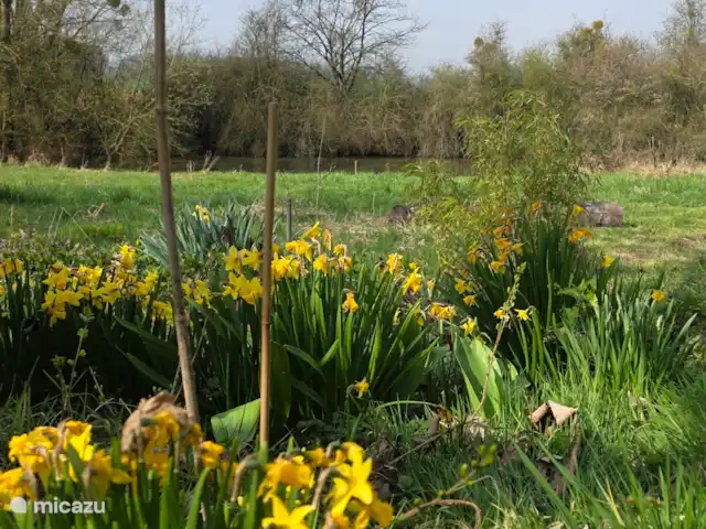 Location de Vacances France, Aisne, Aubenton, maison de vacances - La Bohème Début du printemps