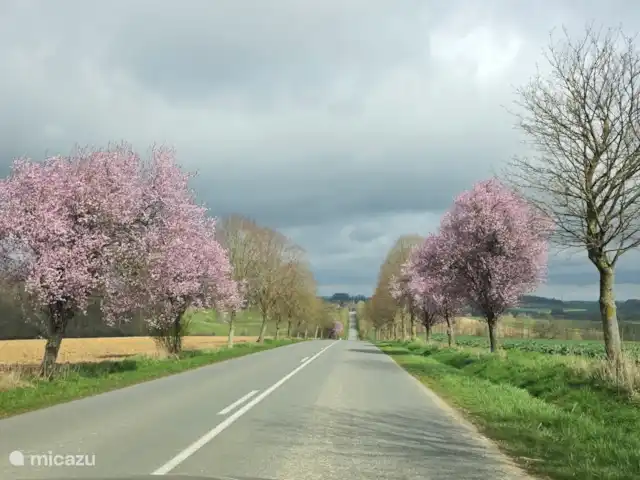 Location de Vacances France, Aisne, Aubenton, maison de vacances - La Bohème La belle route vers Aubenton