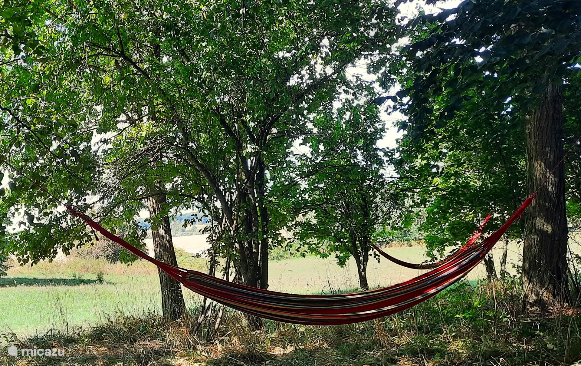 Heerlijk ontspannen in de hangmatten