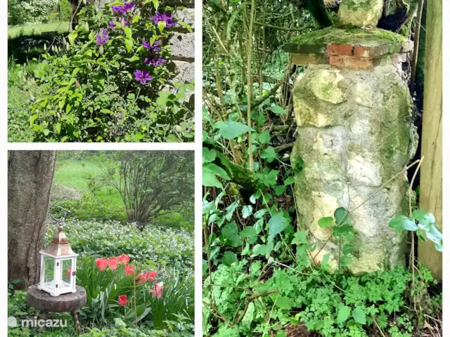 Location de Vacances France, Aisne, Aubenton, maison de vacances - La Bohème Des détails authentiques et beaucoup de verdure dans le jardin
