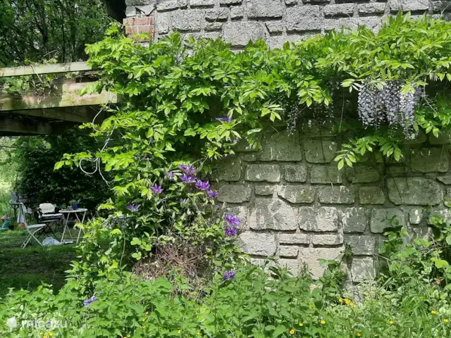 vakantiehuis huren in Frankrijk, Aisne, Aubenton – La Boheme Zijkant huis met zijn weelderige blauwe regen