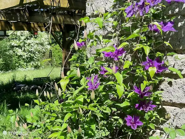 Location de Vacances France, Aisne, Aubenton, maison de vacances - La Bohème Au printemps, tout est magnifiquement en fleurs