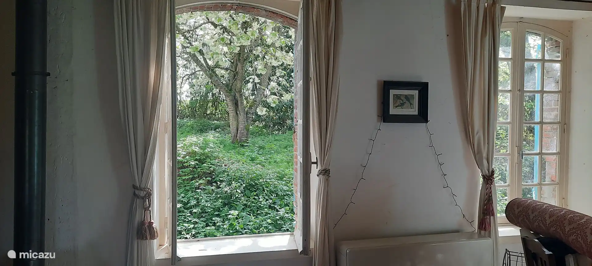 de kersenboom in bloei in de voortuin