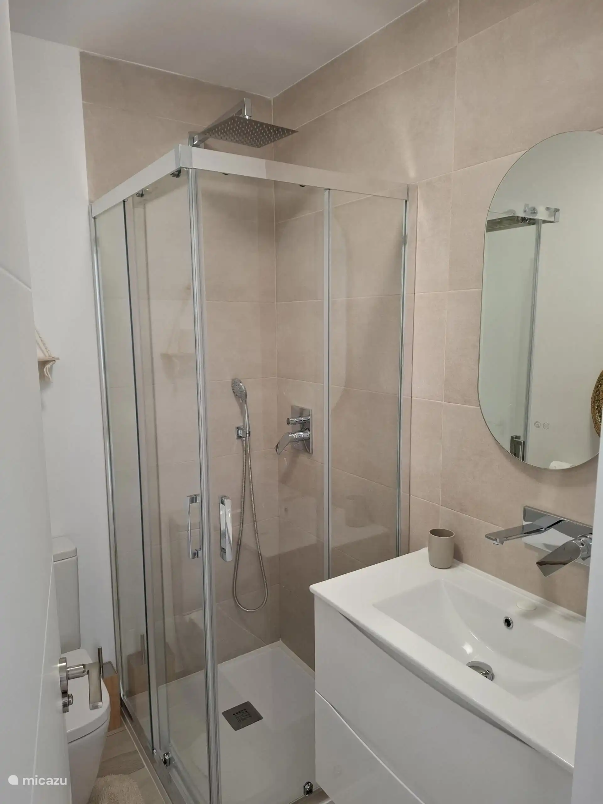 Bathroom standard shower