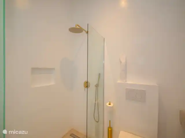 Luz del Agua (50m2) huren in Curaçao, Banda Ariba (oost), Jan Thiel - appartement Badkamer en-suite met regendouche, toilet en wastafel