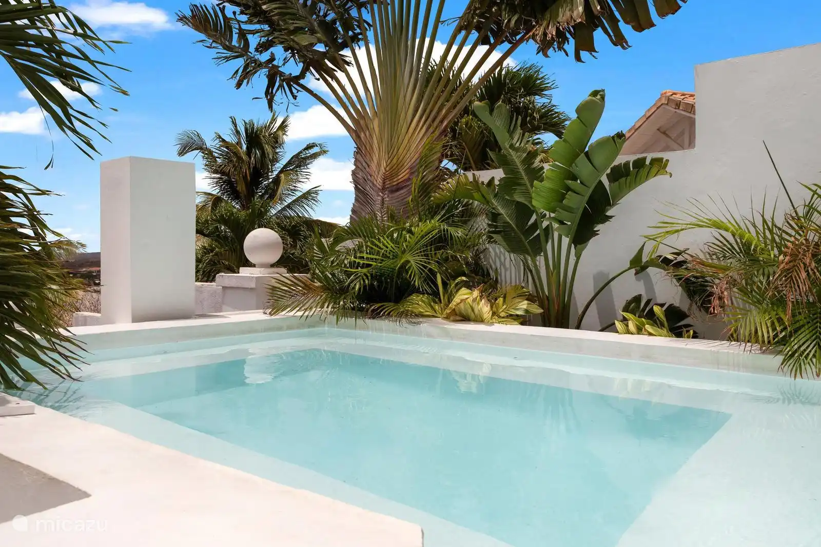 Tropical communal swimming pool