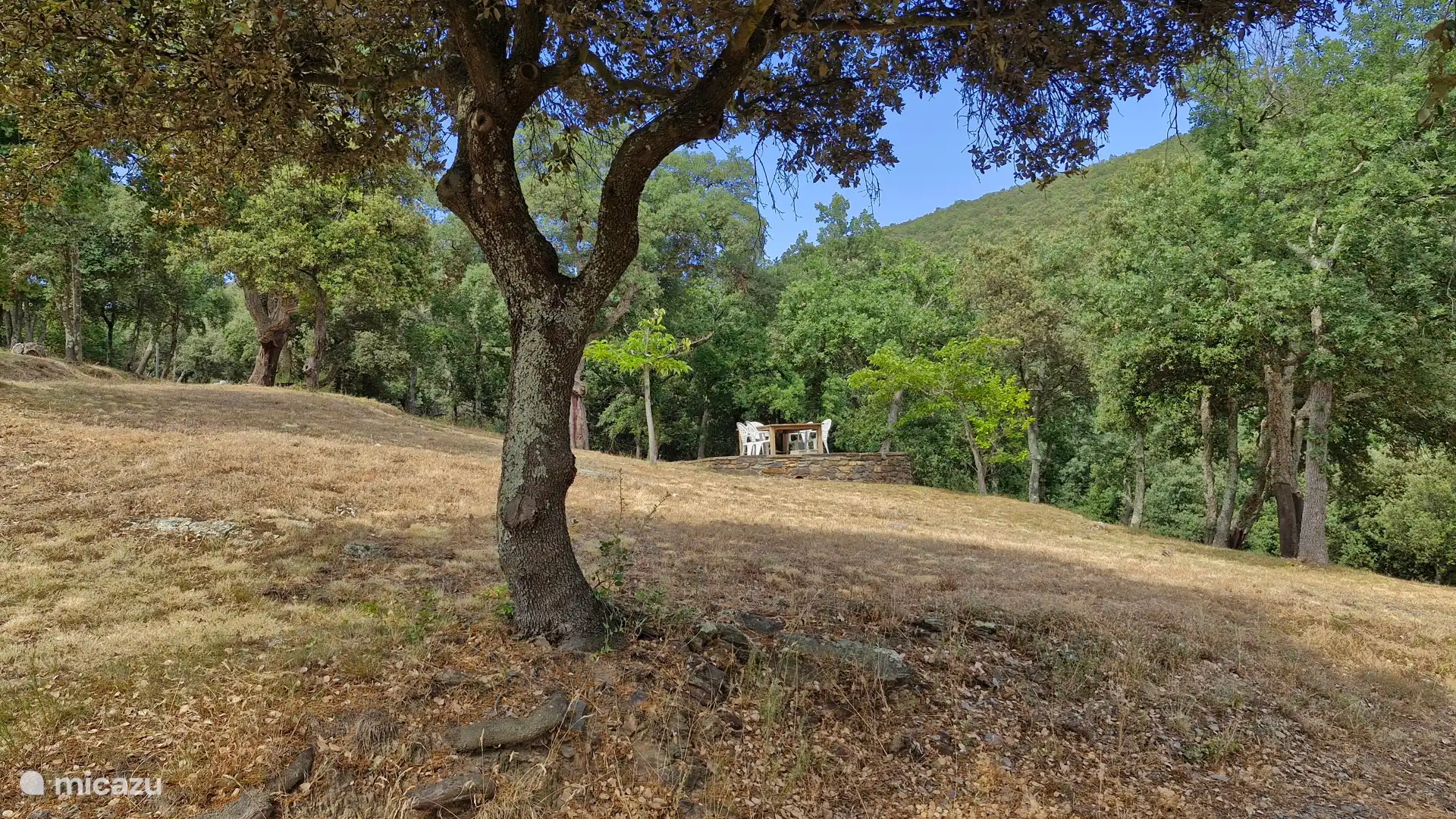 Begleitende Terrasse