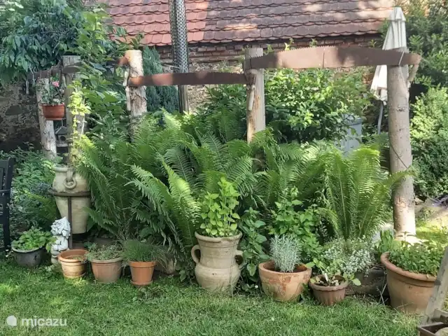 Zichovec Bonanza huren in Tsjechië, Zuid-Bohemen, Strunkovice nad Blanicí - appartement Bij de hottub