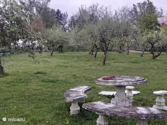Zichovec Bonanza huren in Tsjechië, Zuid-Bohemen, Strunkovice nad Blanicí - appartement De boomgaard in de lente