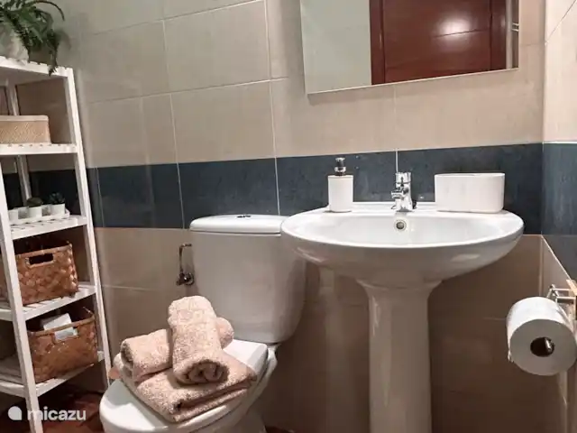 Location de Vacances Espagne, Costa Blanca, Torrevieja, penthouse - Casa La Familia Lavabo et toilettes