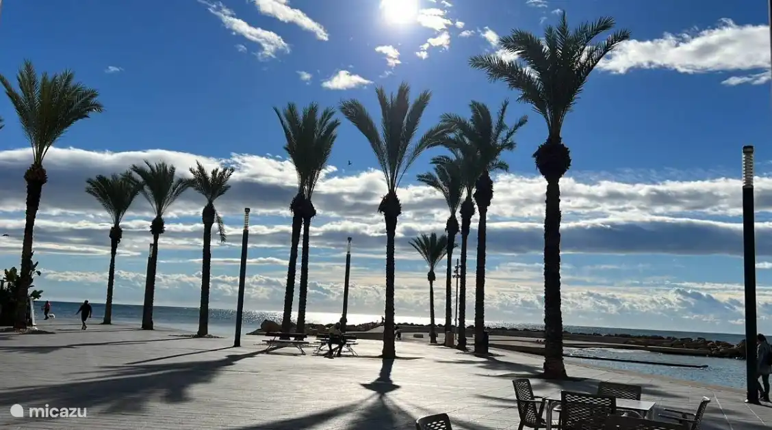 Pasea por el agradable bulevar de Torrevieja.