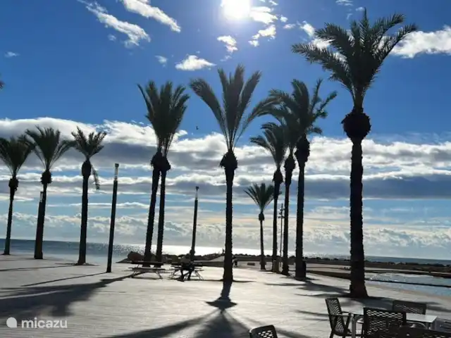 Location de Vacances Espagne, Costa Blanca, Torrevieja, penthouse - Casa La Familia Promenez-vous le long de l’agréable boulevard de Torrevieja.