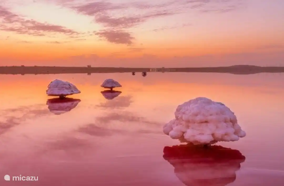 El Lago Rosa de Torrevieja