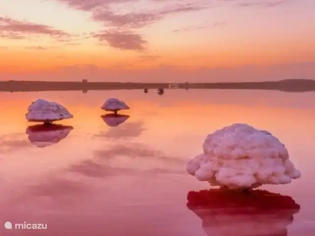 Location de Vacances Espagne, Costa Blanca, Torrevieja, penthouse - Casa La Familia Le lac rose de Torrevieja