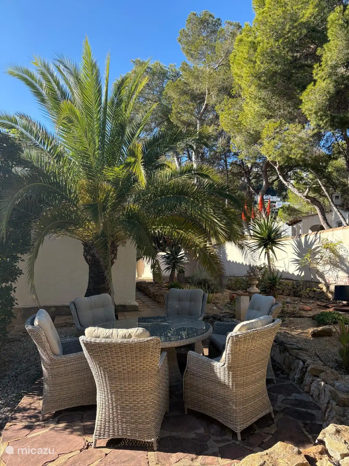 Varias zonas de asientos rodeadas de vegetación...