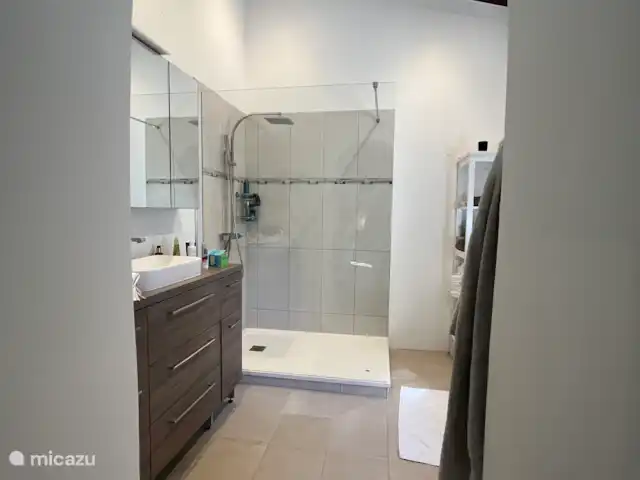Location de Vacances France, Aude, Alzonne, villa - Maisons du Parc au Domaine le Puget Spacieuse salle de bain walk-in de la chambre principale Maison du Parc.