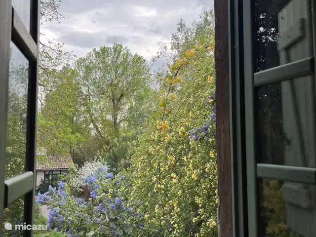 Location de Vacances France, Aude, Alzonne, villa - Maisons du Parc au Domaine le Puget Vue depuis la chambre sur le jardin et le Pool House avec Spa.