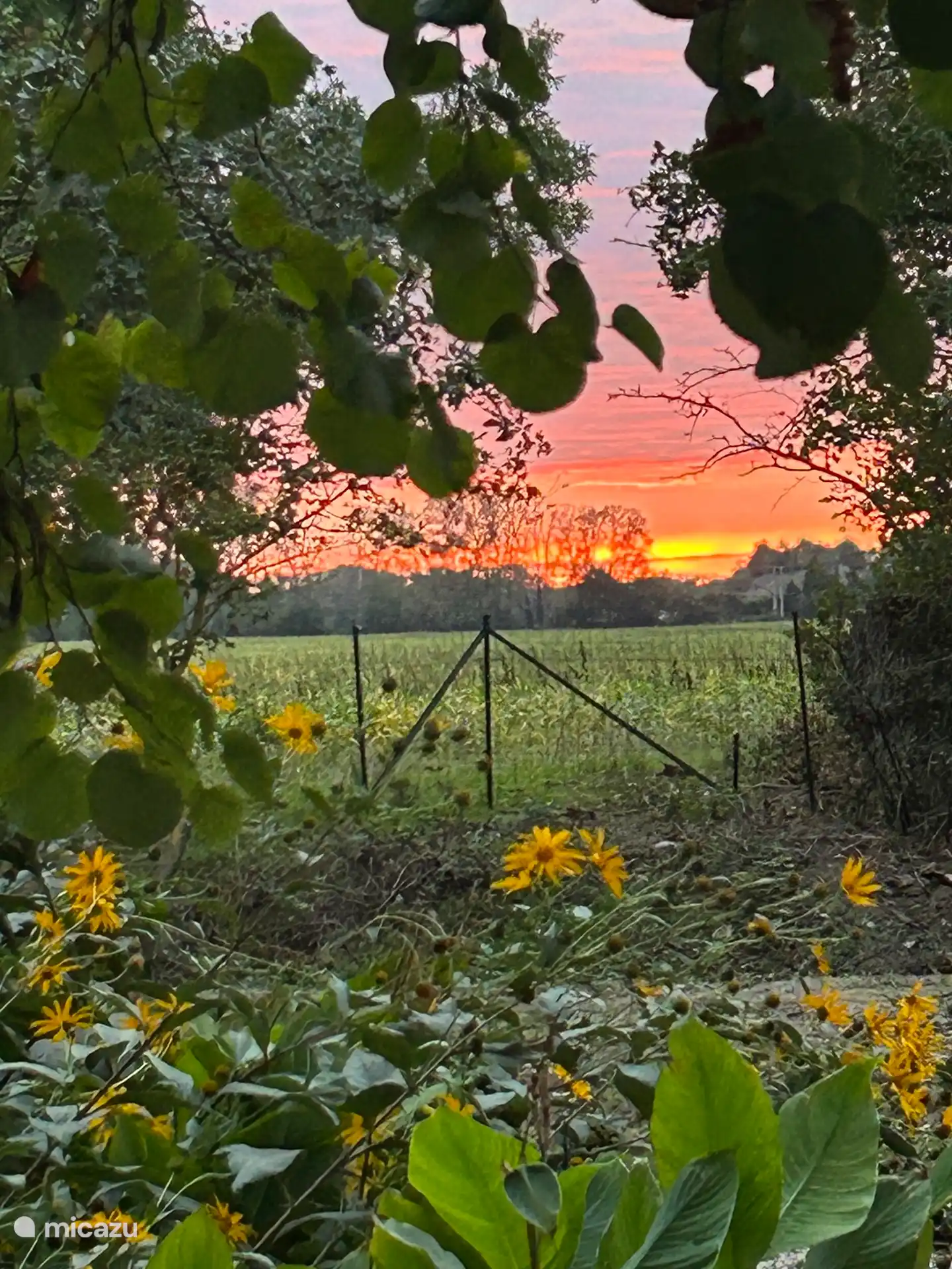 Vista desde el jardín.