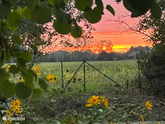Location de Vacances France, Aude, Alzonne, villa - Maisons du Parc au Domaine le Puget Vue depuis le jardin.