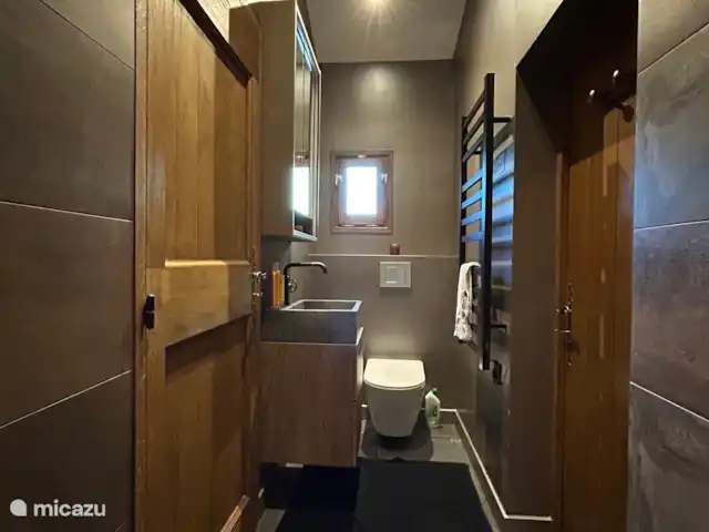 Location de Vacances France, Aude, Alzonne, villa - Maisons du Parc au Domaine le Puget WC de luxe avec lavabo