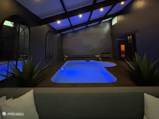 Location de Vacances France, Aude, Alzonne, villa - Maisons du Parc au Domaine le Puget Spa très spacieux avec piscine et sauna