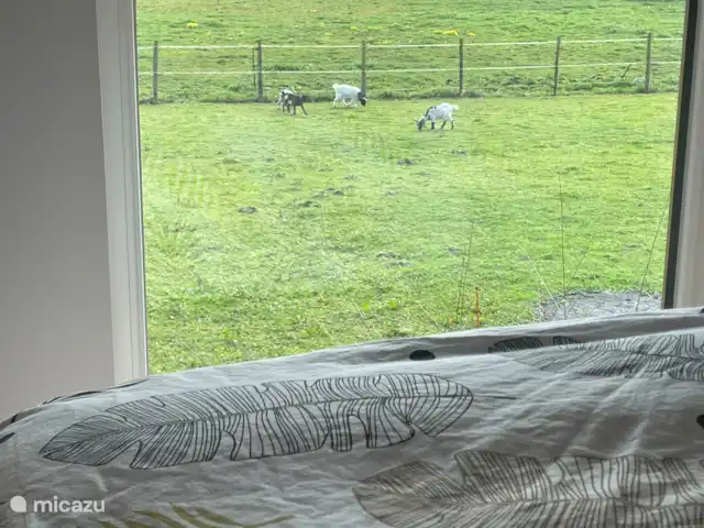 Location de Vacances France, Calvados, Saon, gîte / cottage - Gîte du Paradis Normand