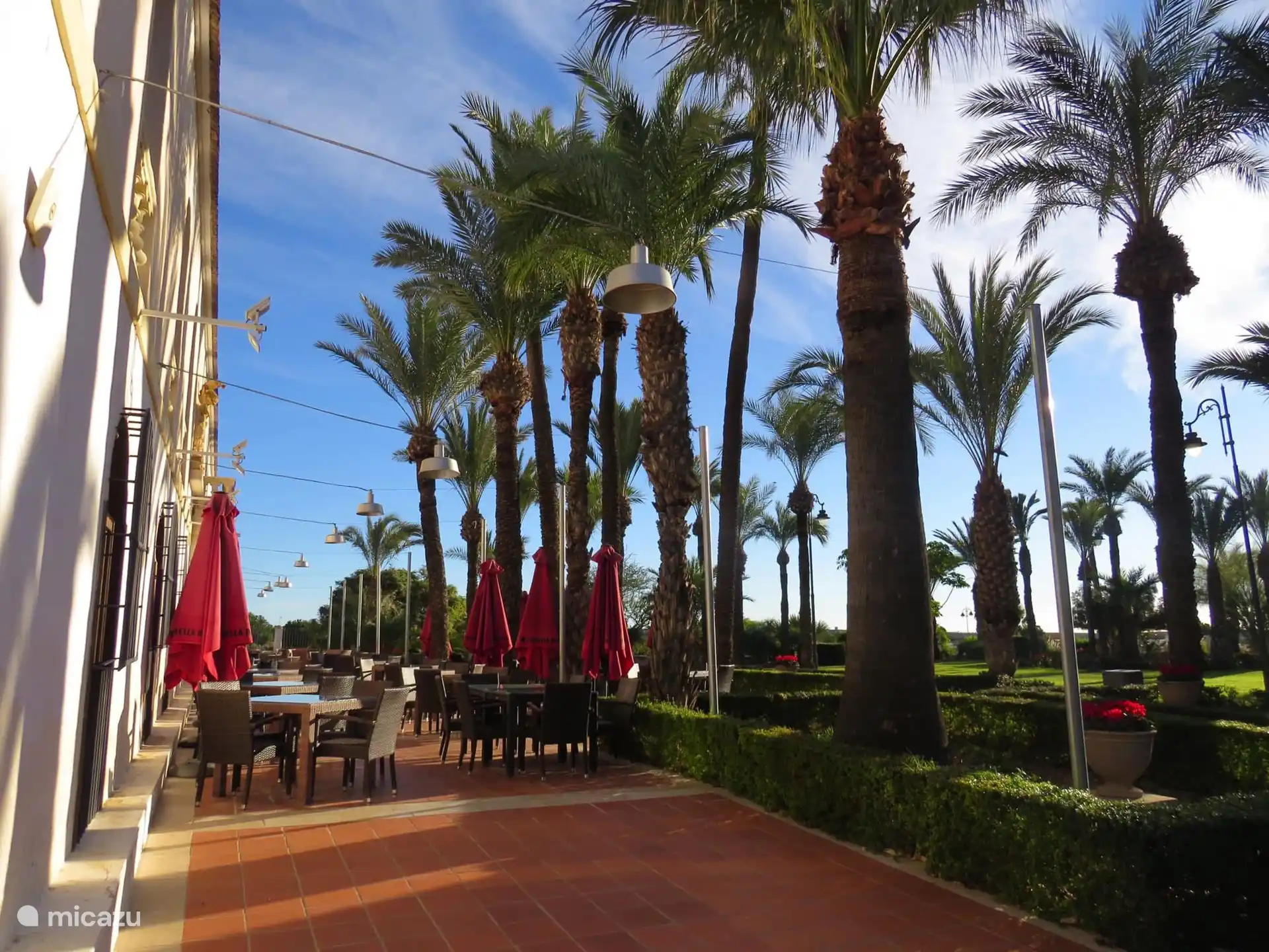 Acogedora terraza del restaurante de estilo colonial