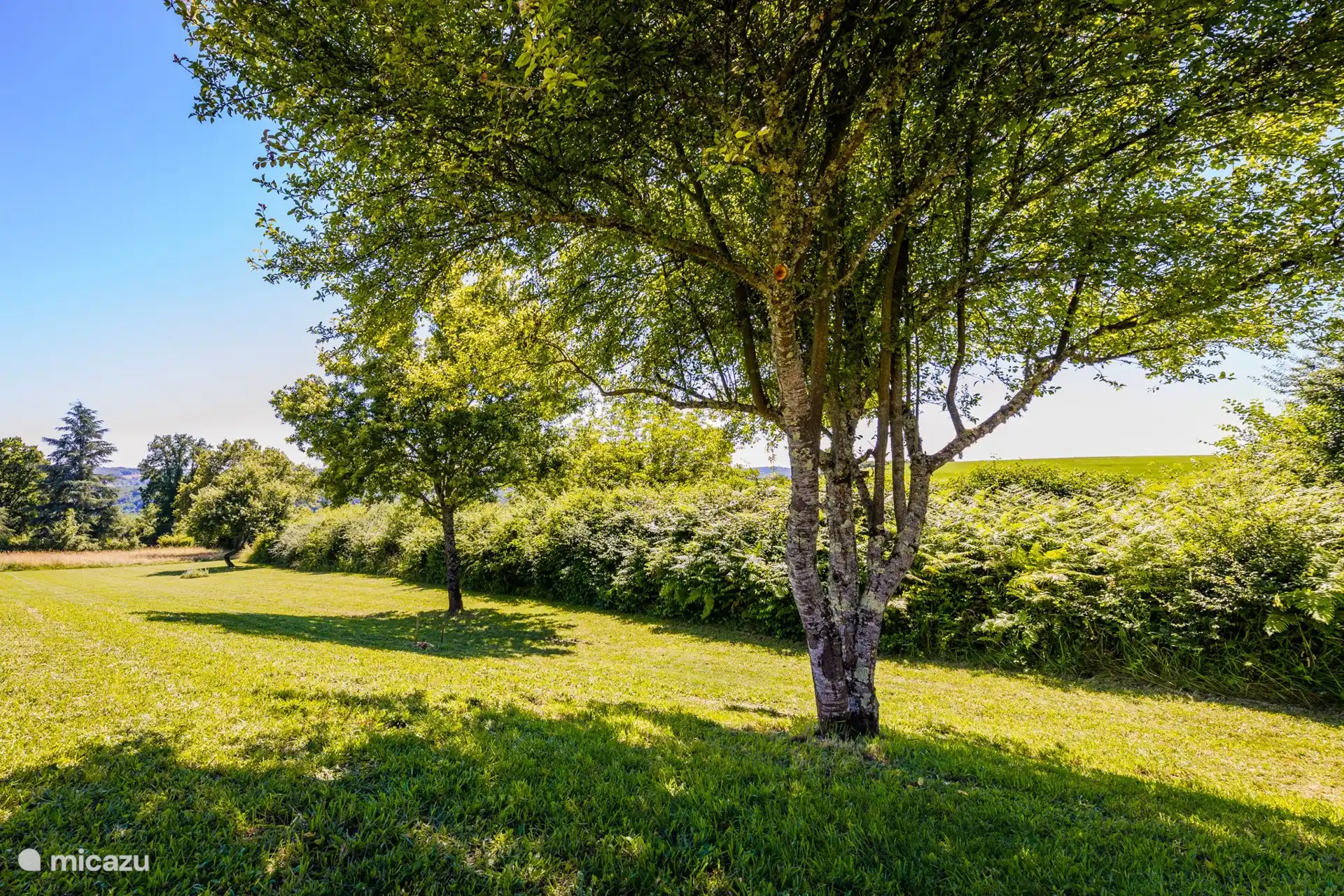 Großzügiges Privatgelände