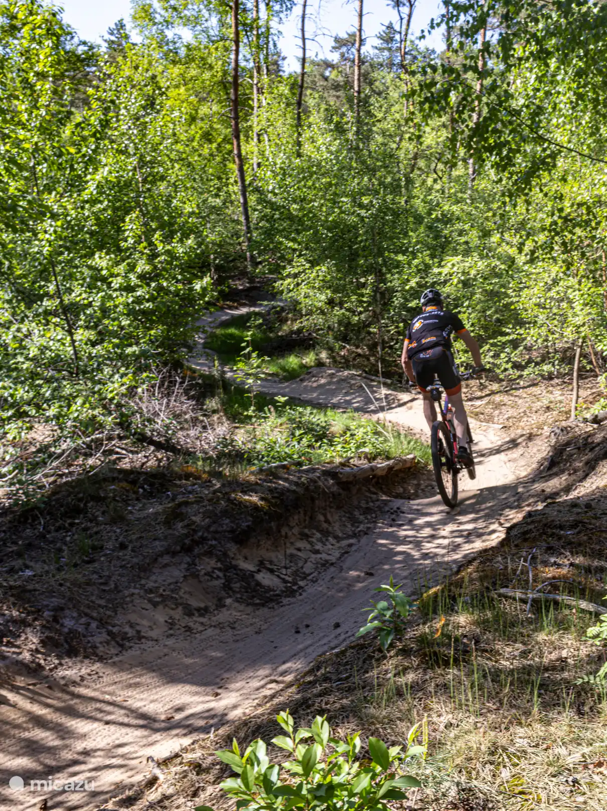 Sentier de VTT à distance de marche
