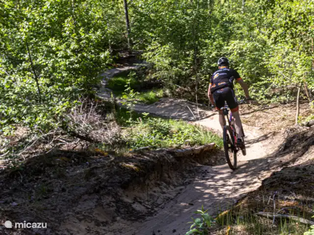 Location de Vacances Pays-Bas, Overijssel, Haarle, chalet - Trèfle à quatre feuilles Sentier de VTT à distance de marche