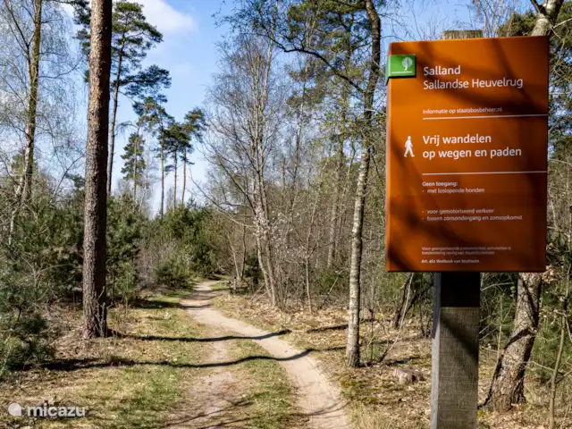 Location de Vacances Pays-Bas, Overijssel, Haarle, chalet - Trèfle à quatre feuilles Hellendoornse Bos