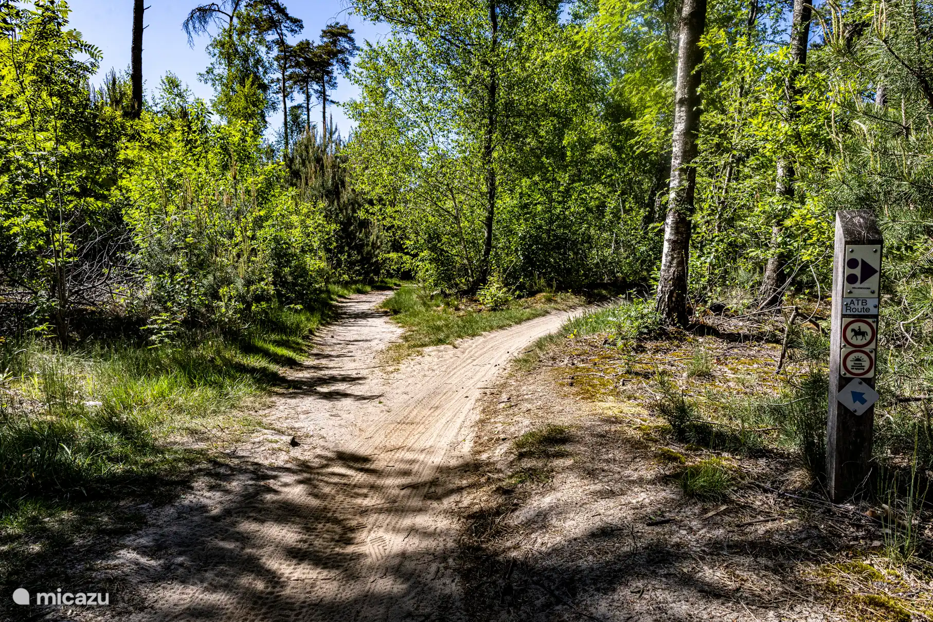 Sallandse heuvelrug/Hellendoorn