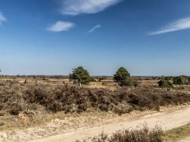 Location de Vacances Pays-Bas, Overijssel, Haarle, chalet - Trèfle à quatre feuilles Sallandse Heuvelrug